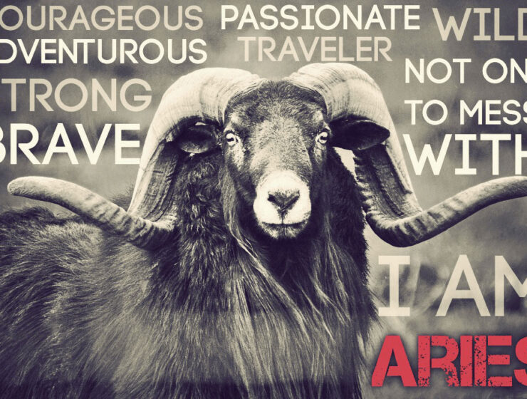 aries zodiac ram